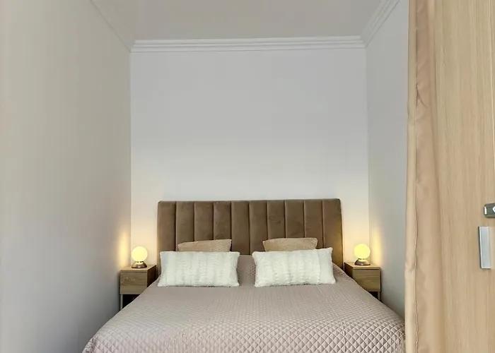 Renove Climatise 4 Voyageurs Menton